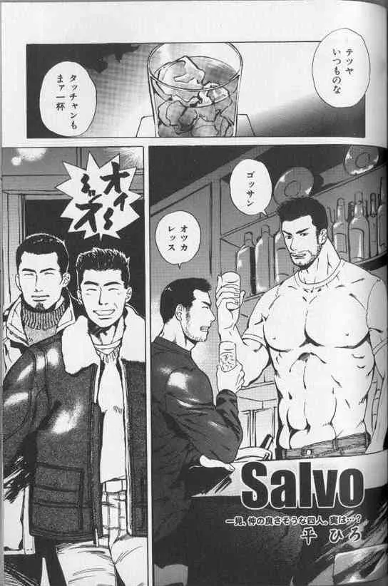 [平ひろ] Salvo