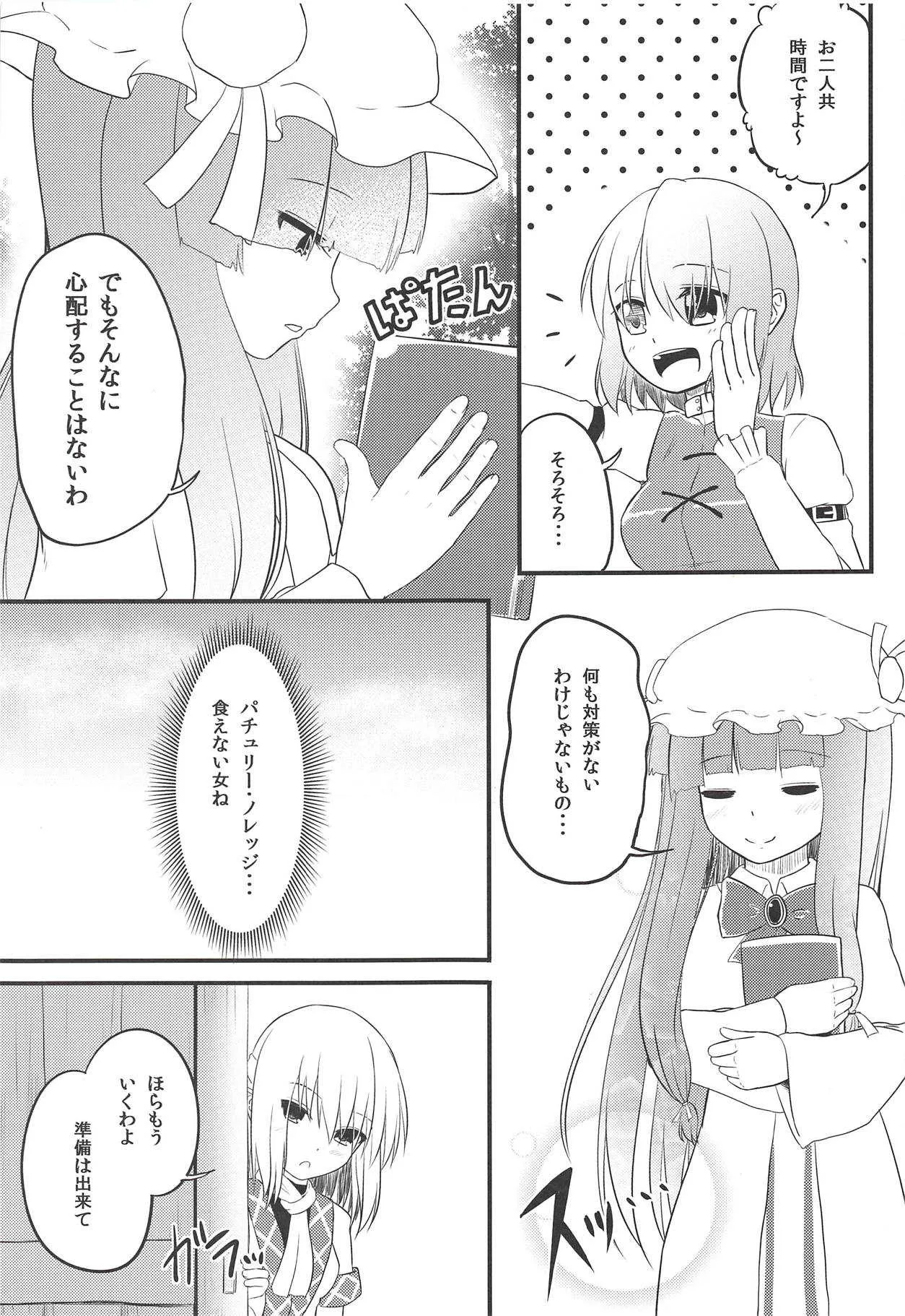 (例大祭13) [わっしょい☆工房 (速水桜)] 妖怪少女の愛しかた3 (東方Project)_6