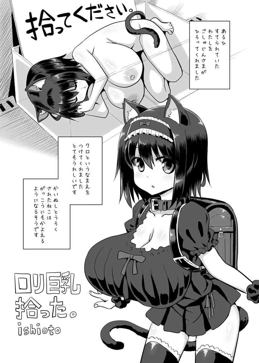 [ishioto] ロリ巨乳拾った。