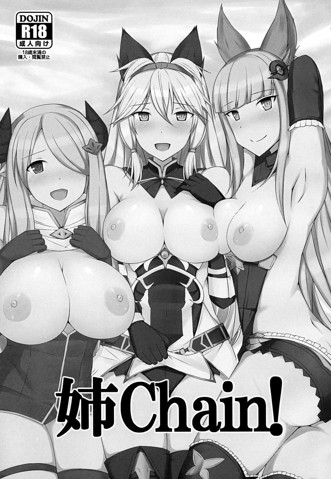 (C91) [巨人港 (とよ)] 姉Chain! (グランブルーファンタジー)_2