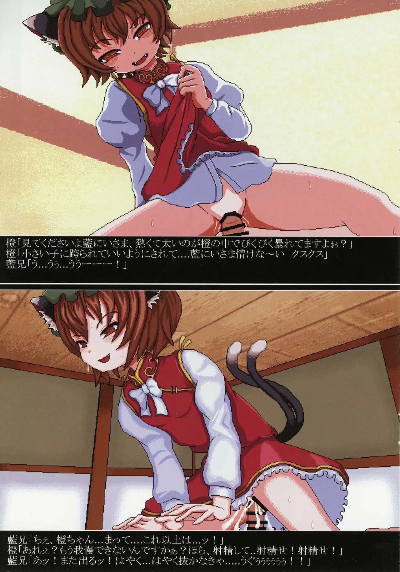 (例大祭18) [UNK教団の野望 (UNK教祖)] わるい黒猫にわからせたい (東方Project)_6