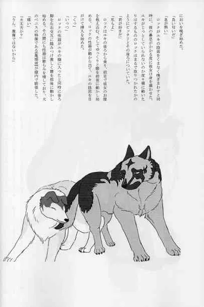 image_37