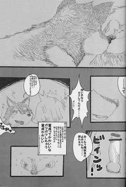 image_42