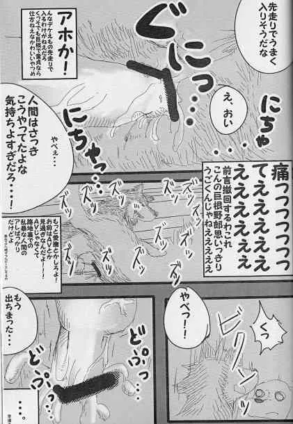 image_44