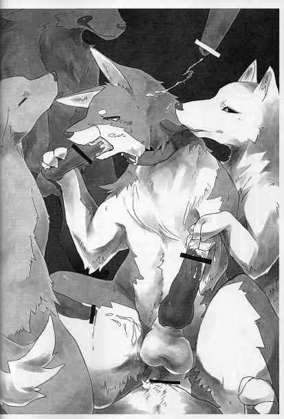 image_53