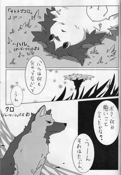 image_54