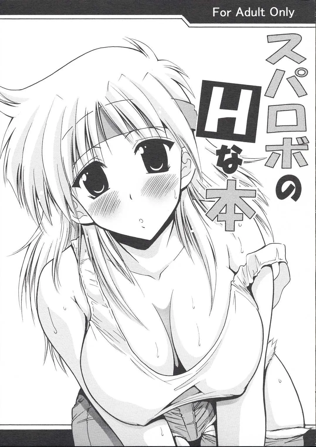 (サンクリ23) [りーず工房 (王者之風)] スパロボのHな本 (スーパーロボット大戦)