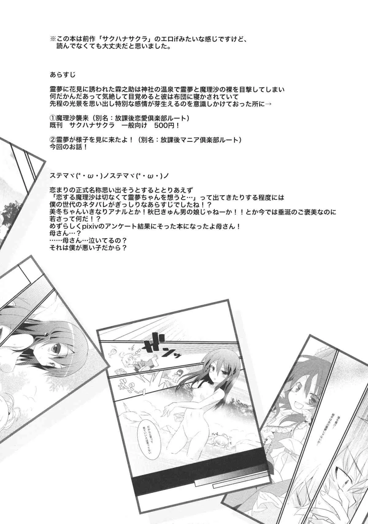 (例大祭10) [とりあえず(仮) (とろろ)] チルハナサクラ (東方Project)_3