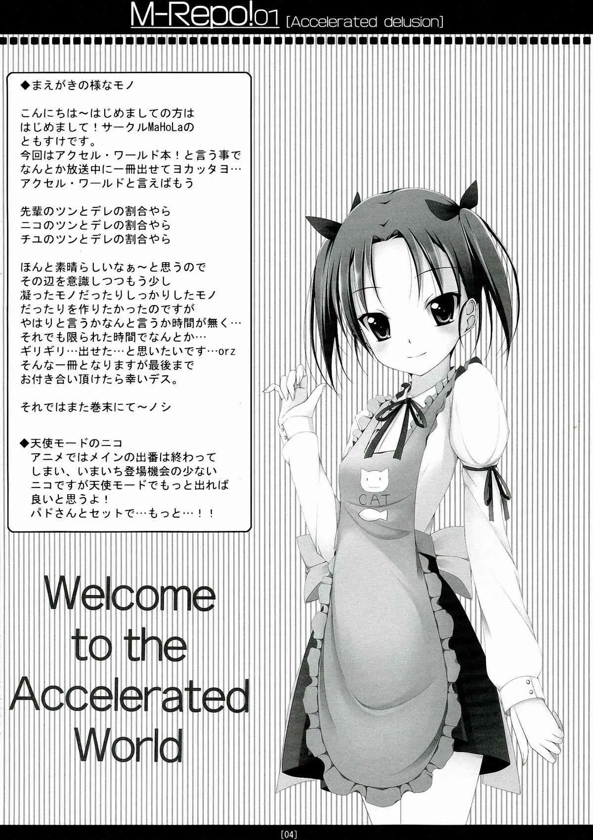 (C82) [MaHoLa (ともすけ)] M-REPO! 01 Accelerated delusion >>> 加速妄想 (アクセル・ワールド)_4