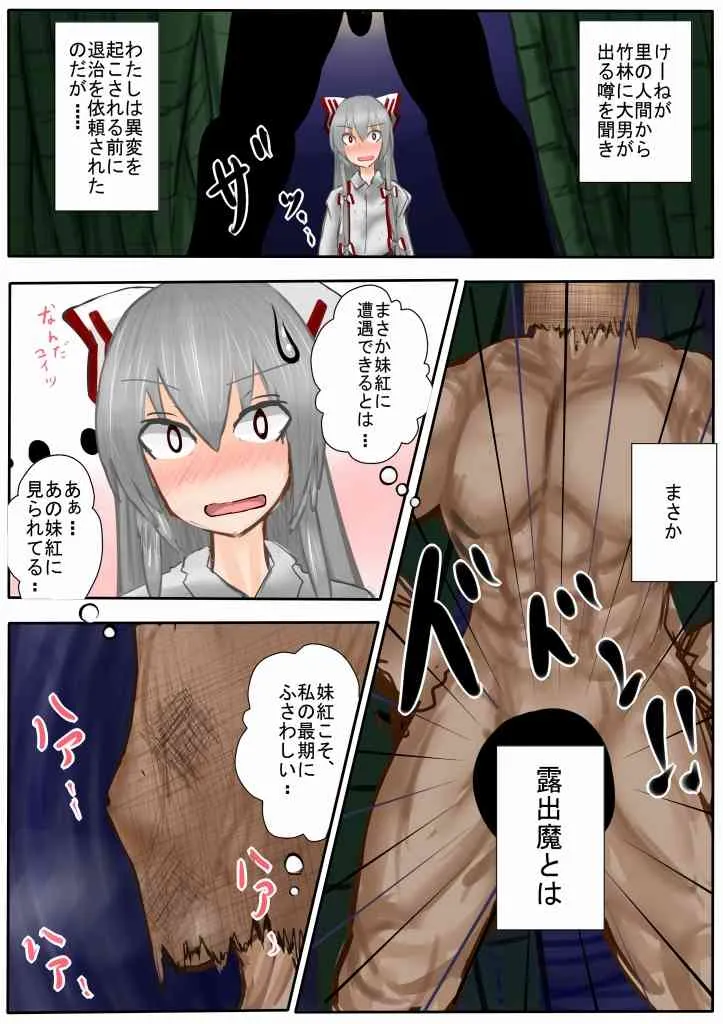 [Hokō Kikai (Hokou Kikai)] 妹紅くんがホモに犯されるマンガ (Touhou Project) [Y]_2