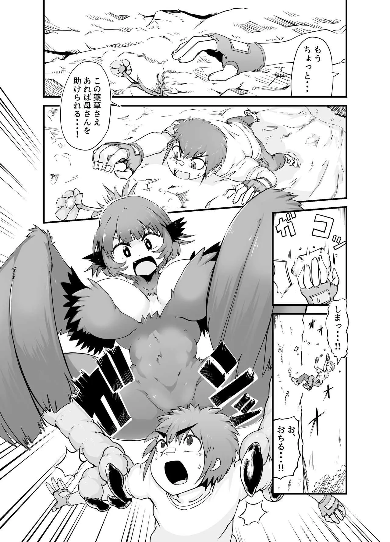 [絶対絶命] ぶっとび!ハーピィガール☆_2
