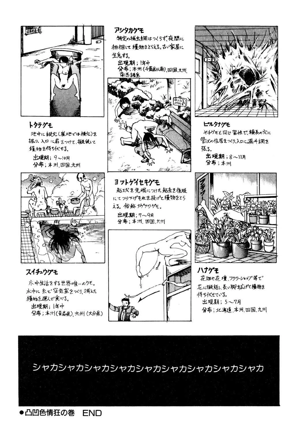 image_79