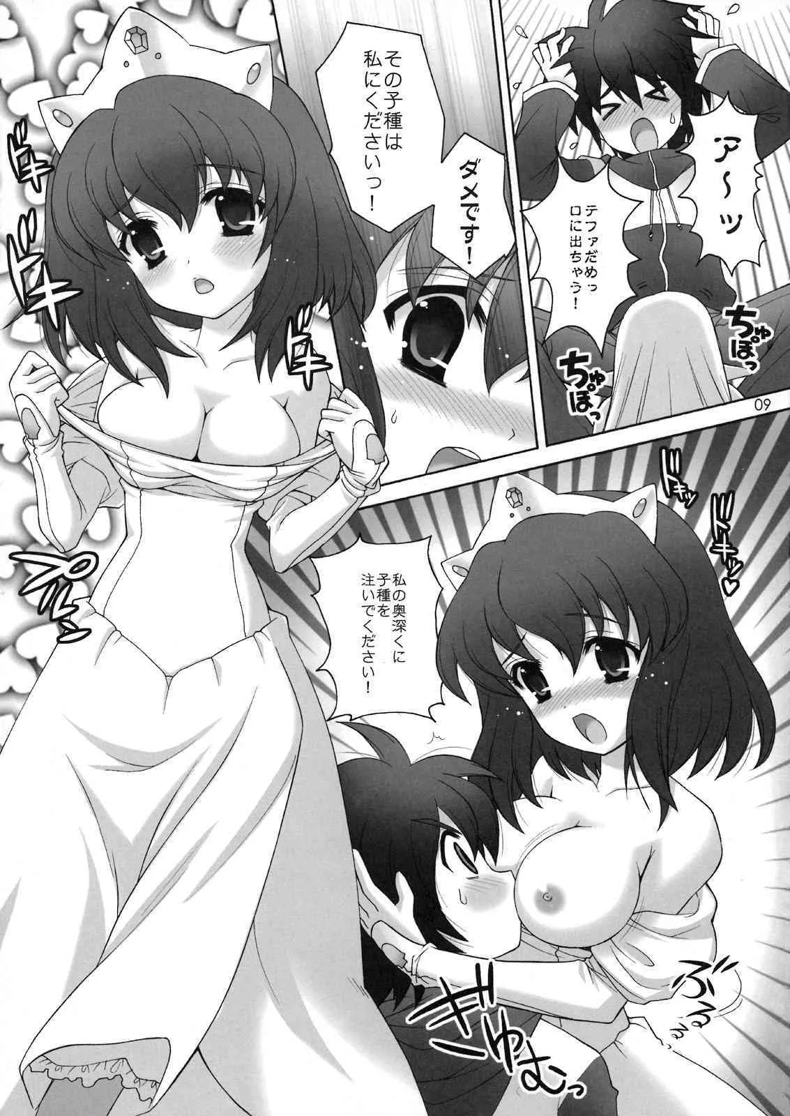 (C74) [しましましすてむ (なぎさわゆう)] ちょっとだけスキ…かも? (ゼロの使い魔)_6