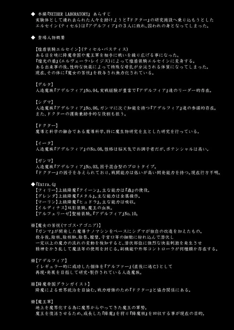 [FONETRASON (竜湯)] 煌盾装騎エルセイン Vol.11 NETHER LABORATORY [DL版]_3