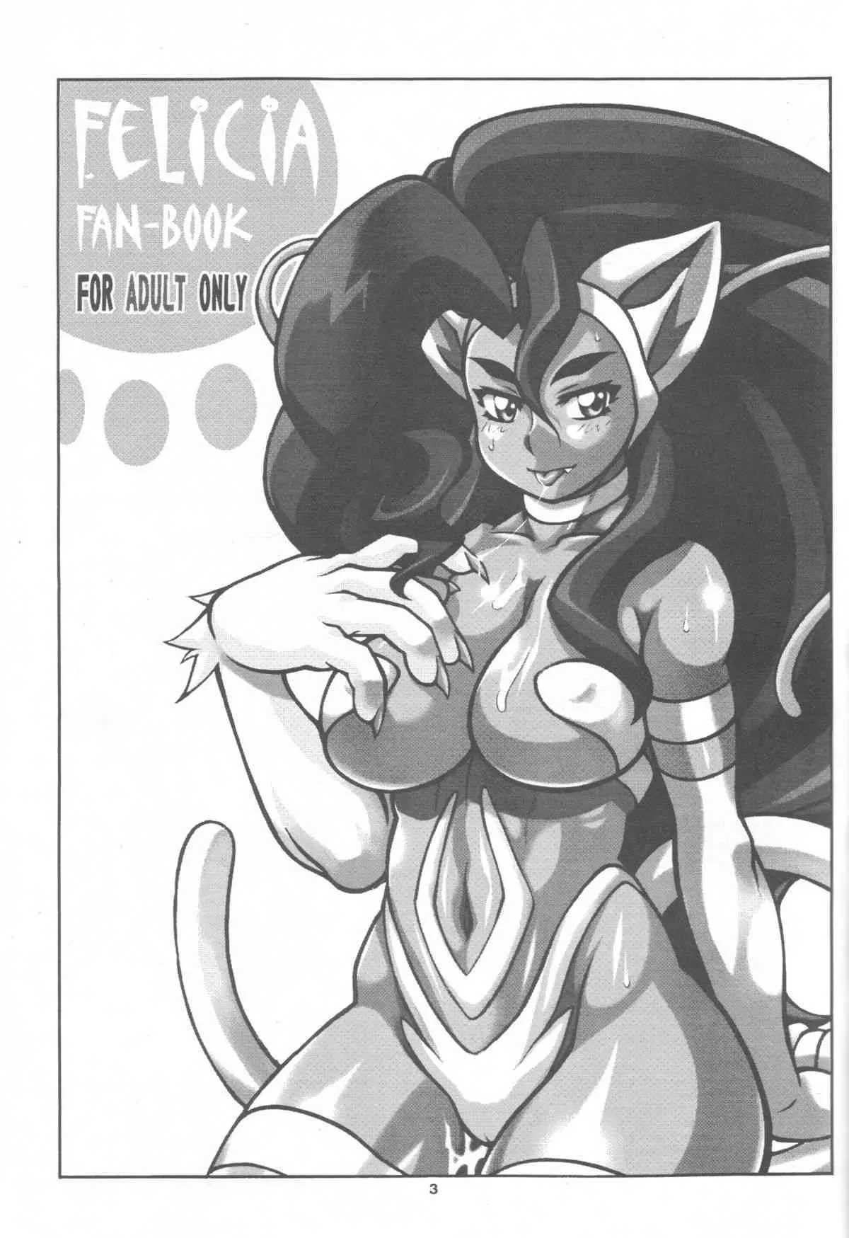 (C72) [迷い猫 (中上隆)] CAT DANCER (ヴァンパイア, 鉄拳)_2