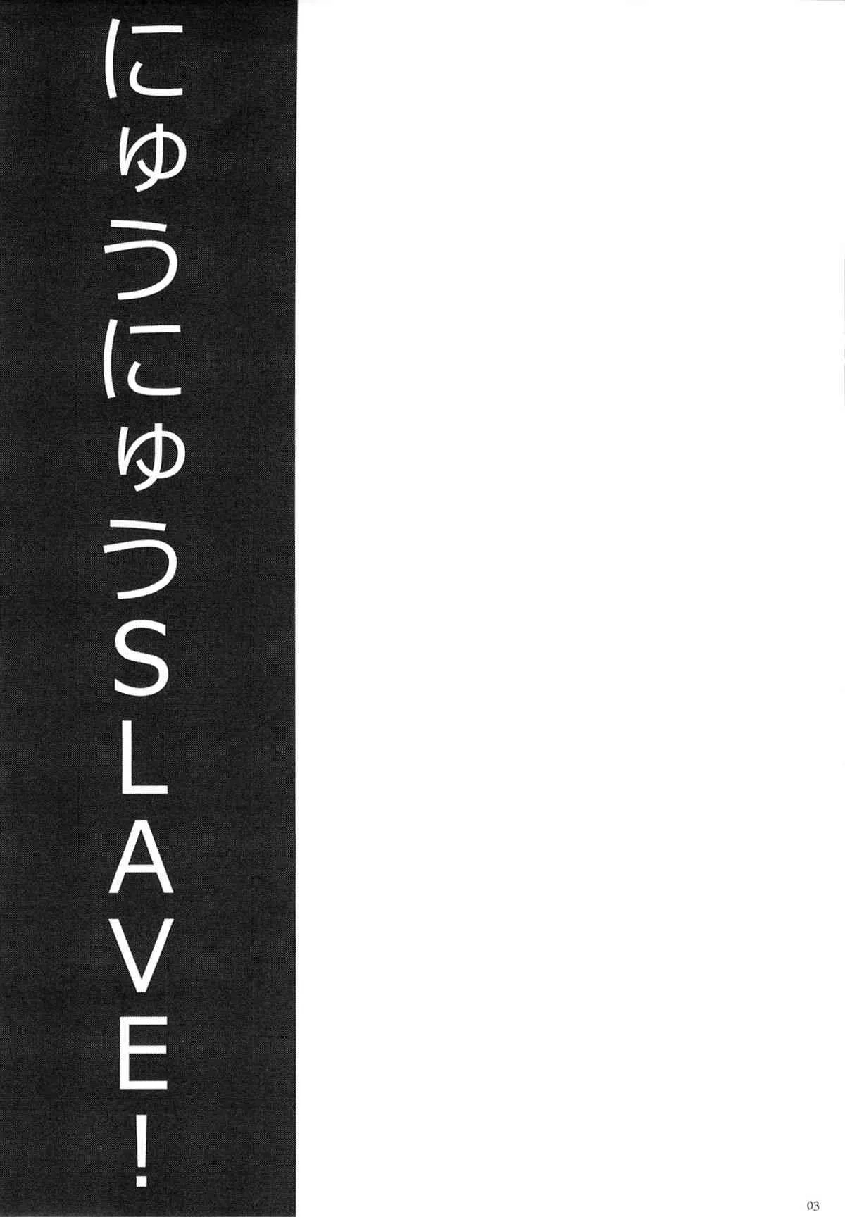 [メタルタンツ (哲美)] にゅうにゅうSLAVE! (閃乱カグラ)_2