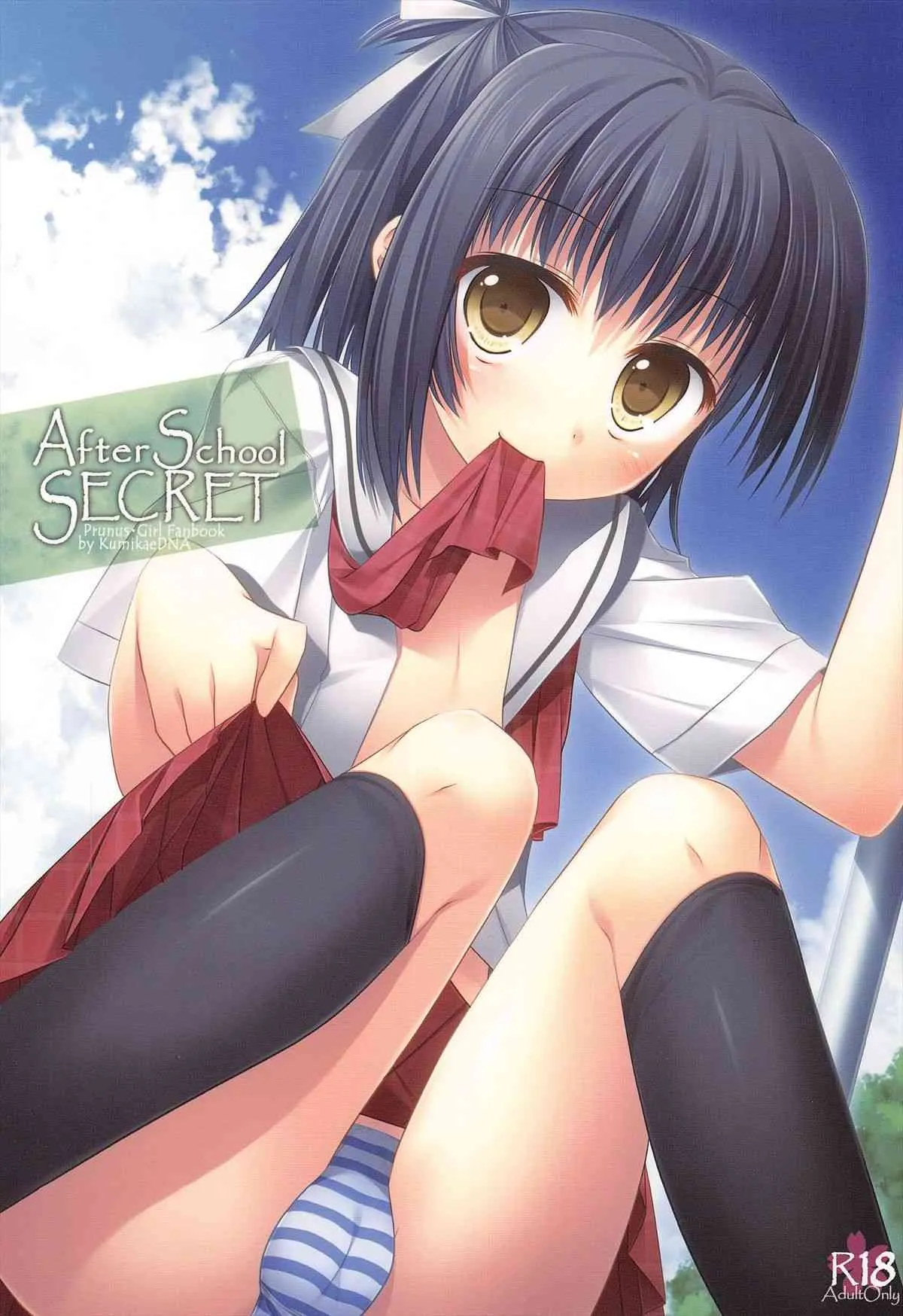 (ショタケット15) [組換DNA (水上暮菜)] After School Secret (プラナス･ガール)