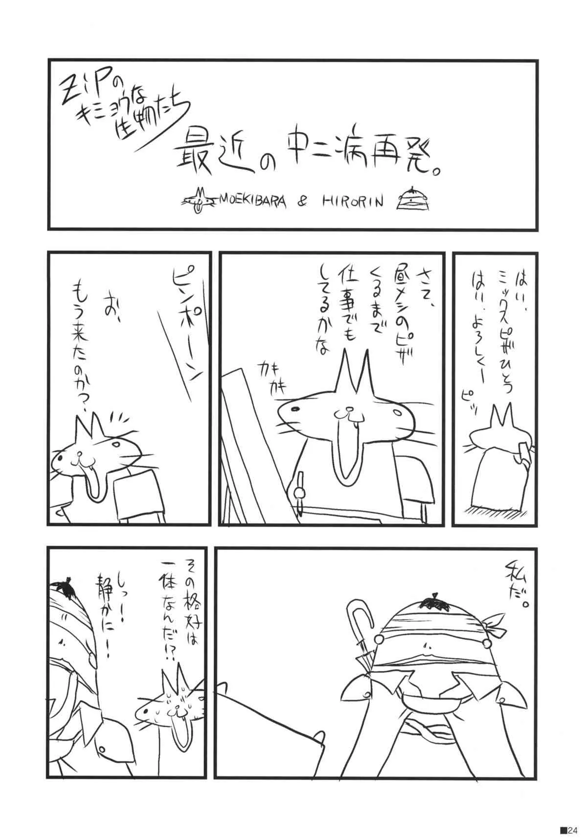 image_23