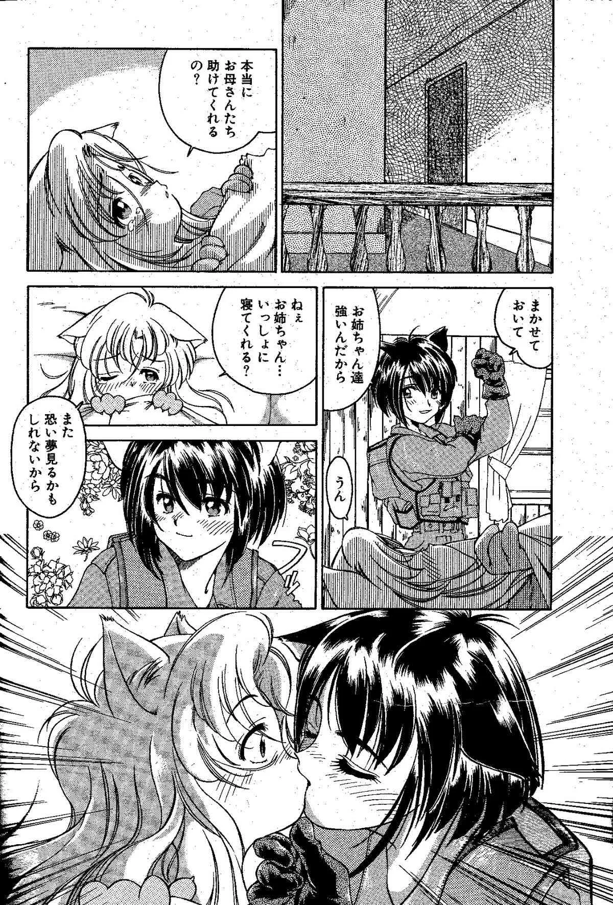 南アこれ 【最終頁乱丁線有り】_6