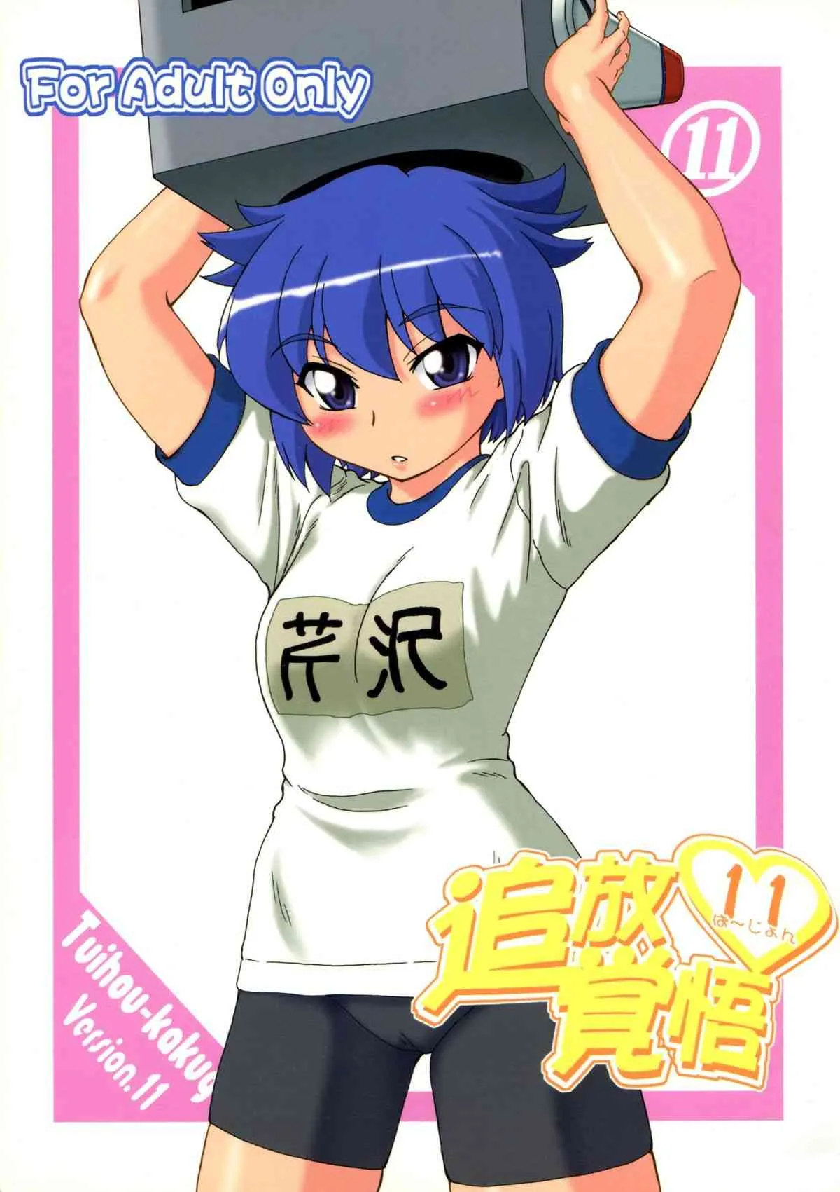 (だんめんずこみっく 1) [俺たちミスノン一家 (ミスノン・ザ・グレート)] 追放覚悟version.11 (ぱにぽに)