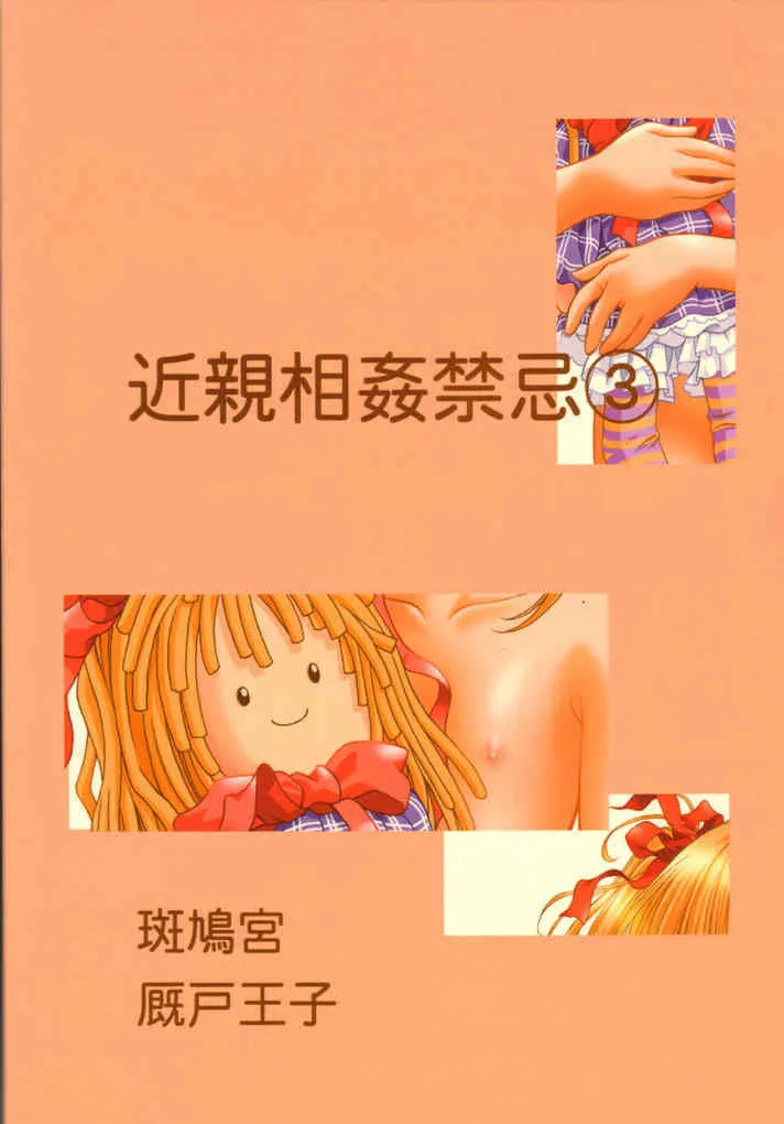 [斑鳩宮 (厩戸王子)] 近親相姦禁忌 3 (シスタープリンセス)_3