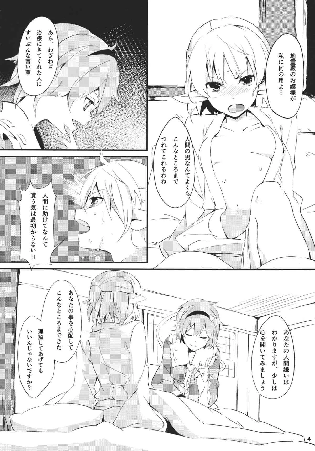 (C83) [てつのおとしご (チロリアン)] Bridge Blue (東方Project)_4