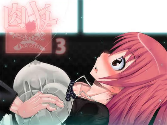 [ポポドクトリン] 肉友 たまねとたまられ3 (ToHeart2)
