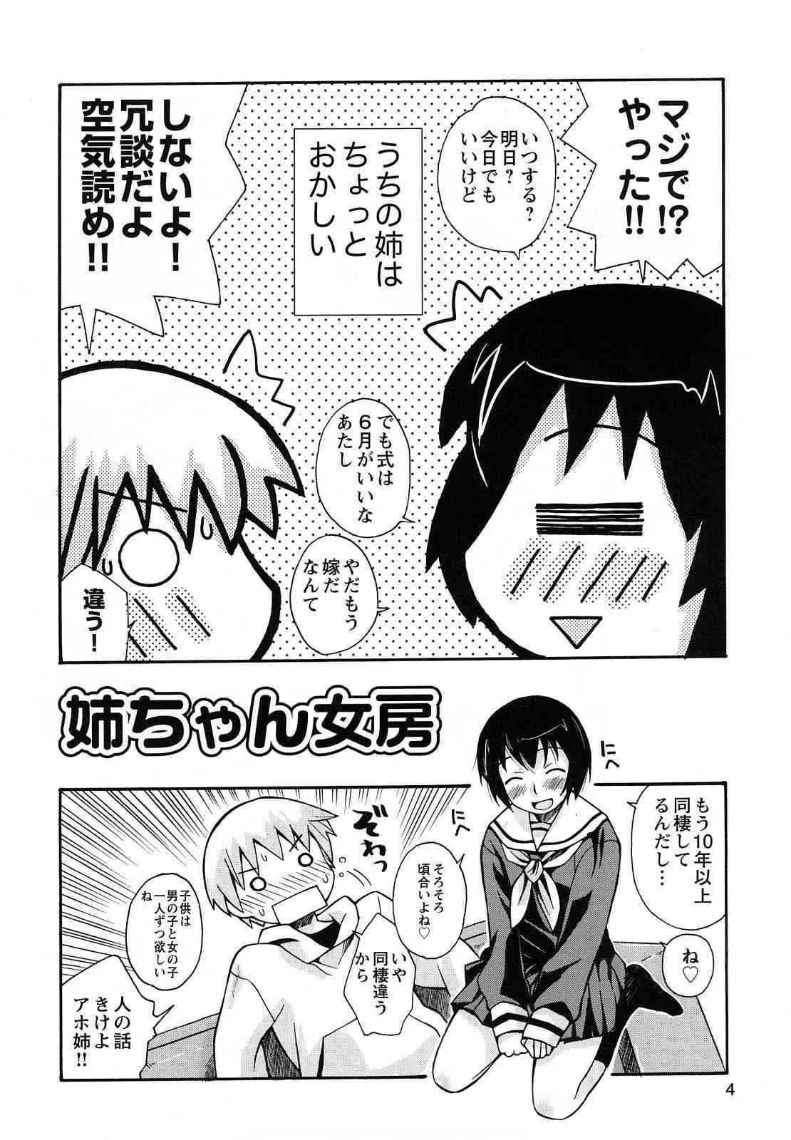 [狩野蒼穹] 僕だって姉とSEXしてみたい！_3