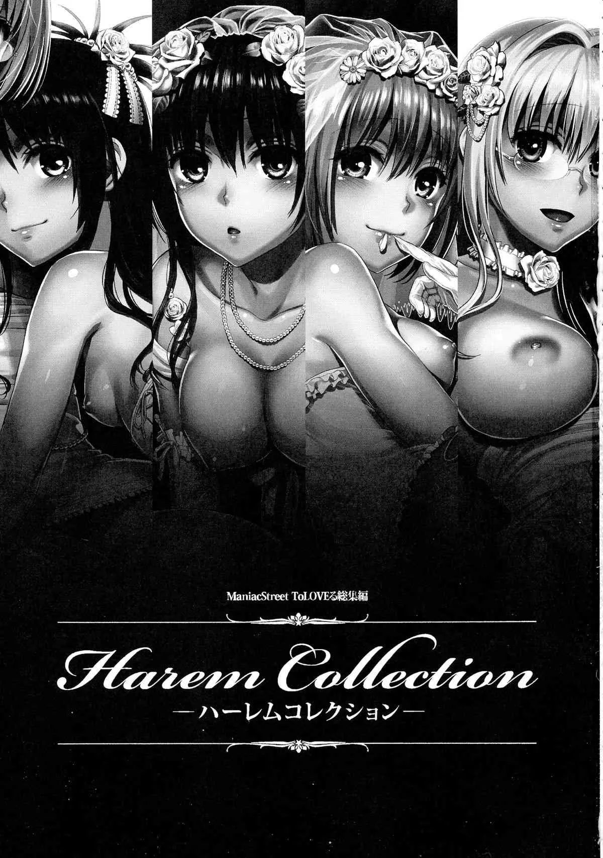 (C86) [Maniac Street (オオノ, すがいし)] ハーレムコレクション (To LOVEる -とらぶる-)_3