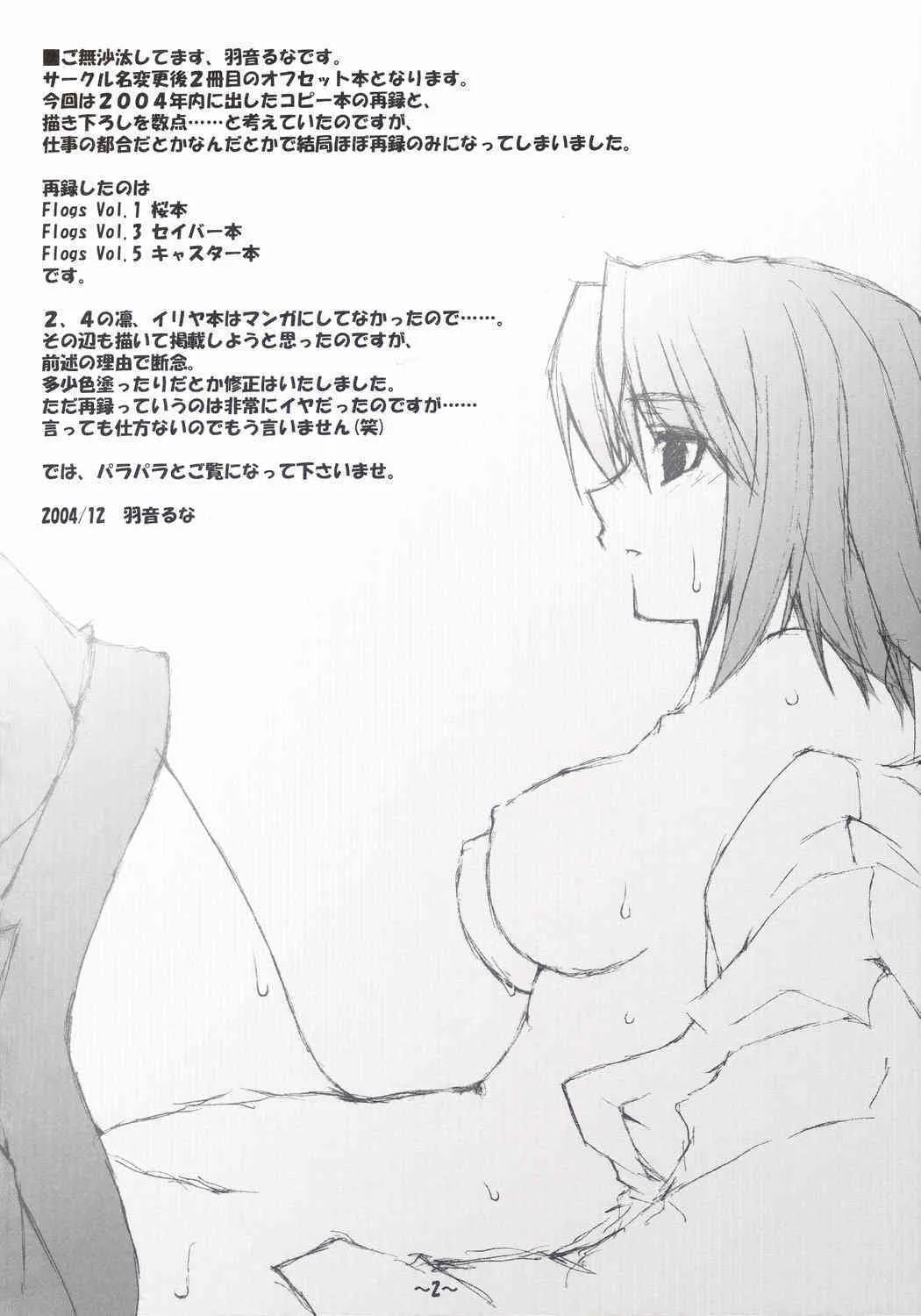 (C67) [Hard Flogs (羽音るな)] Hard Flogs vol.2 (Fate/stay night)_3