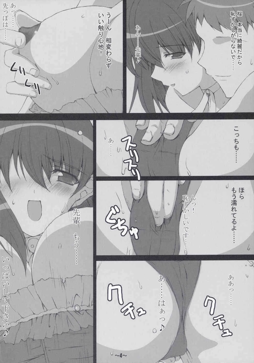 (C67) [Hard Flogs (羽音るな)] Hard Flogs vol.2 (Fate/stay night)_5
