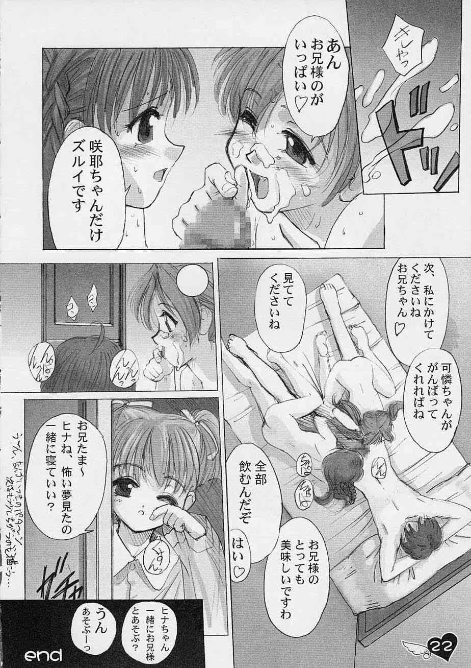 image_21