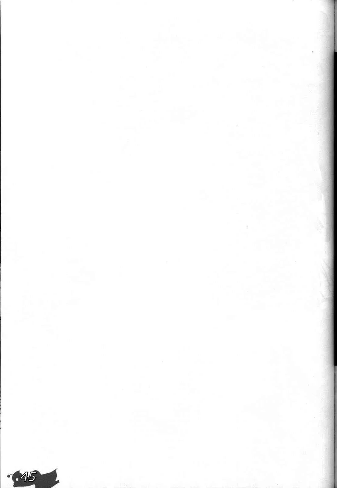 image_45