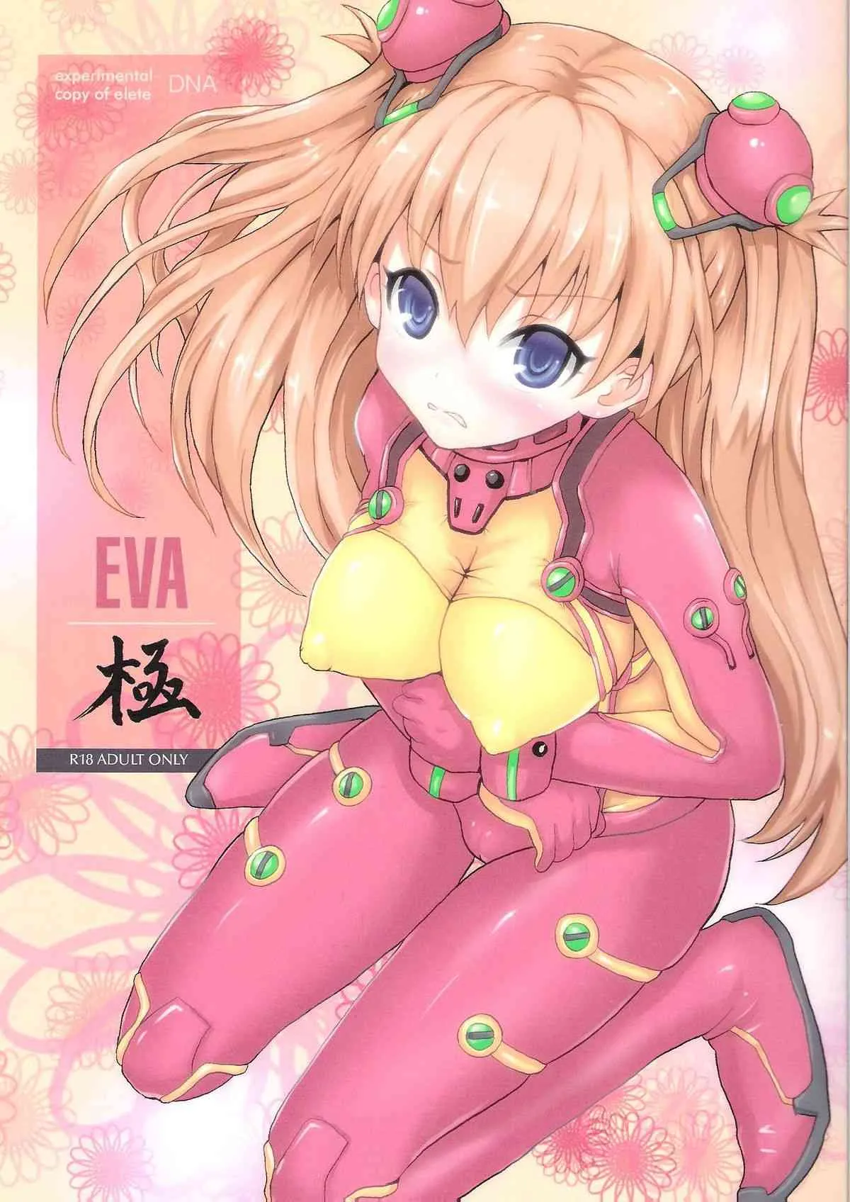 (C81) [ポッピンラビット (絵空コト)] EVA極 (新世紀エヴァンゲリオン)