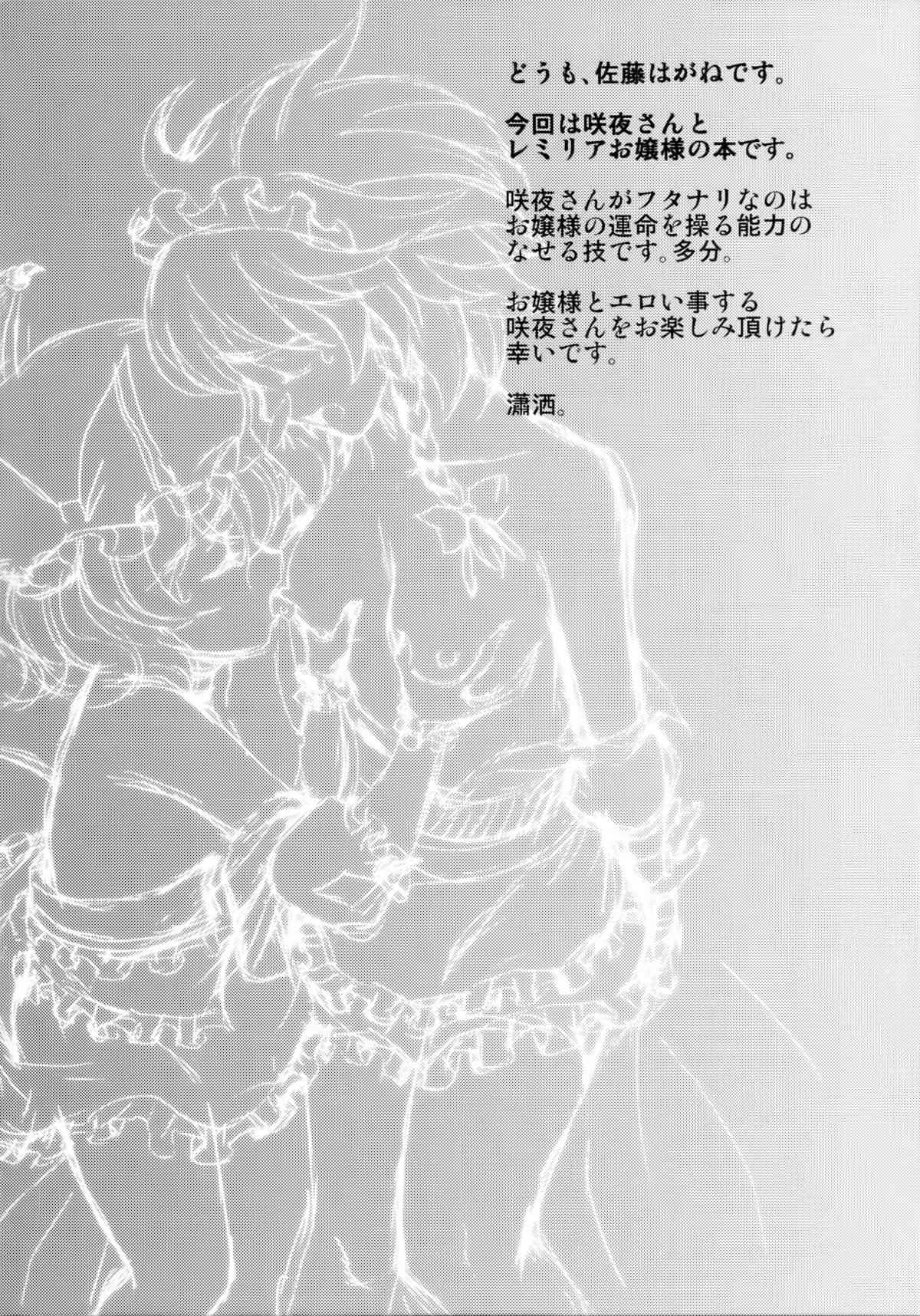 (C85) [鋼鉄 (佐藤はがね)] Jack the ludo bile (東方Project)_5