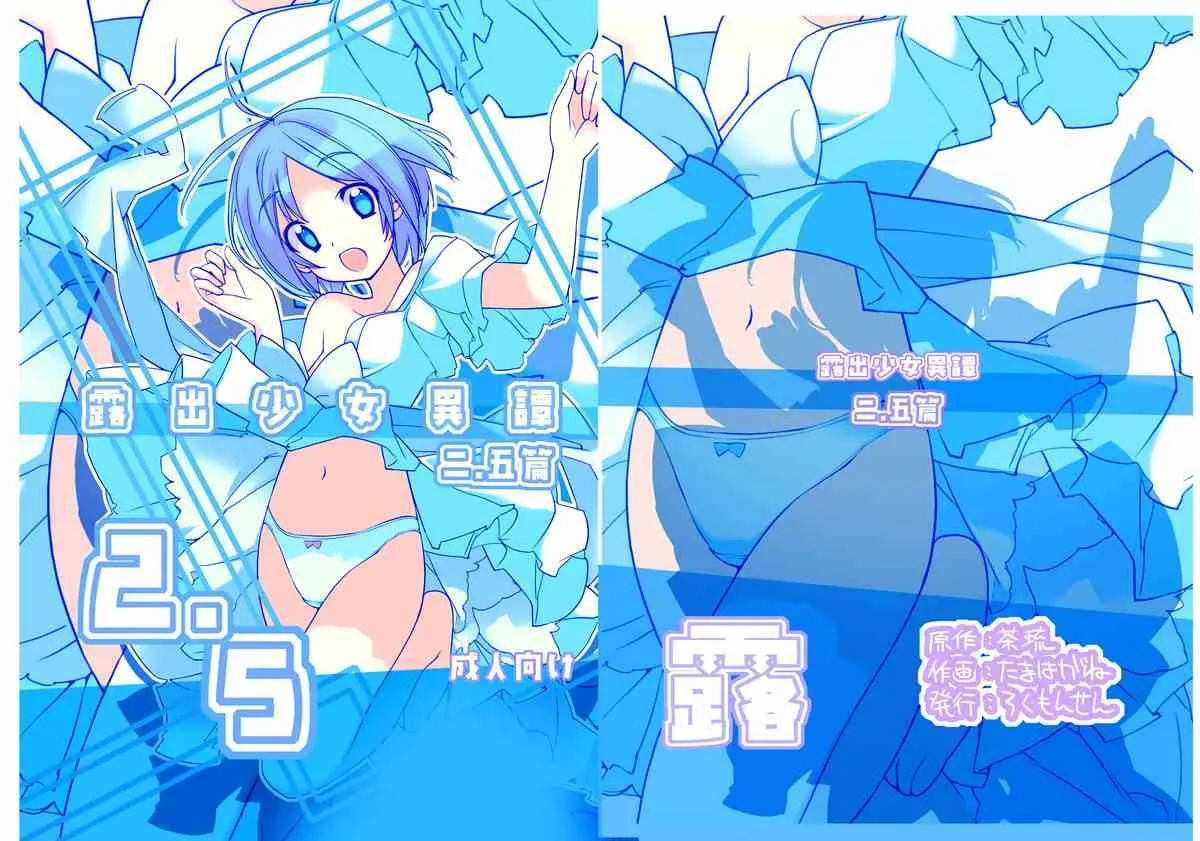 [ろくもんせん (たまはがね, 茶琉)] 露出少女異譚 二.五篇 [DL版]