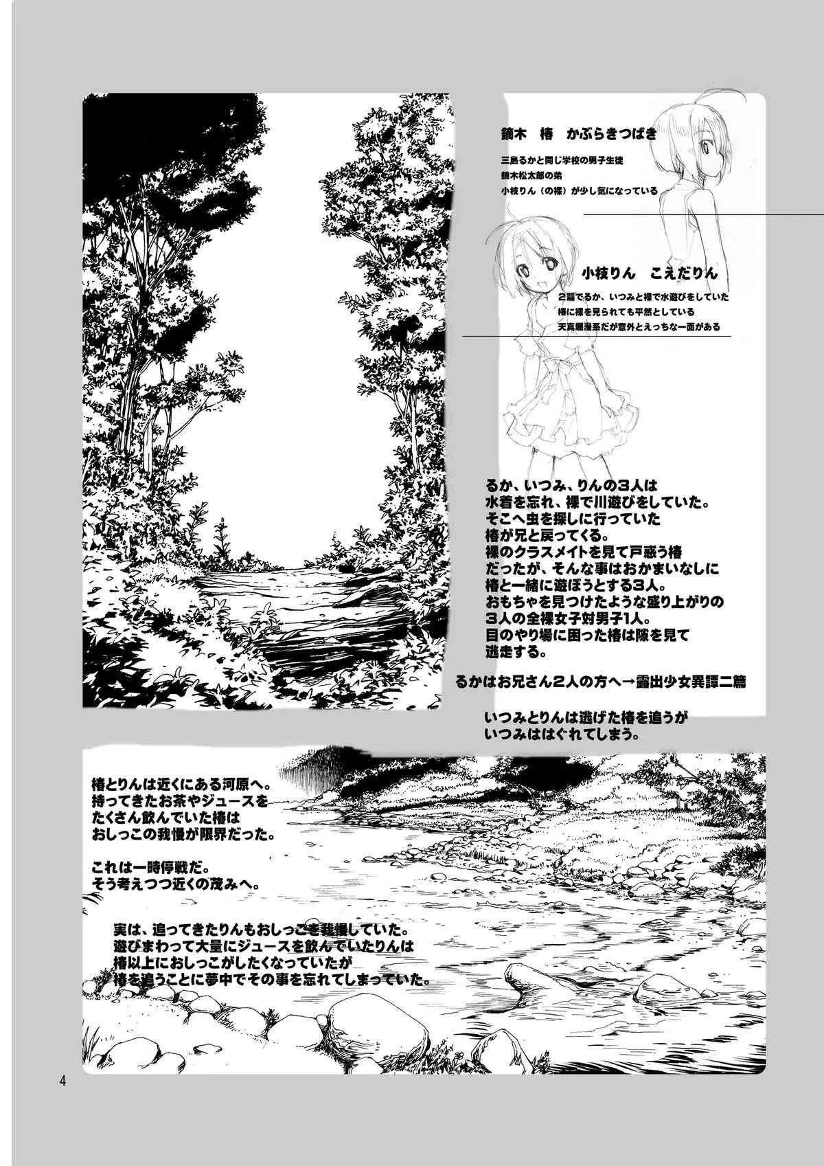 [ろくもんせん (たまはがね, 茶琉)] 露出少女異譚 二.五篇 [DL版]_3