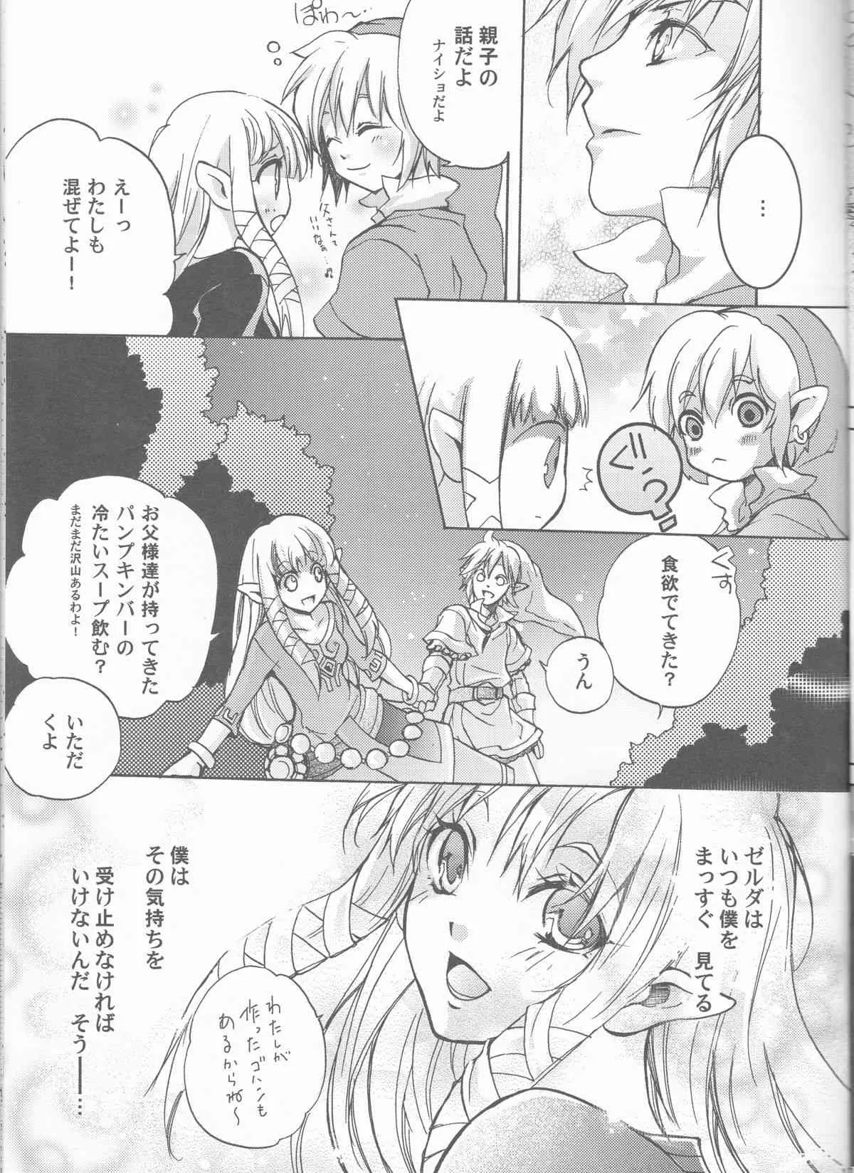 (春コミ18) [うさぎパラダイス (美沙)] 初めての夏。 ~The First Summer~ (ゼルダの伝説 スカイウォードソード)_3