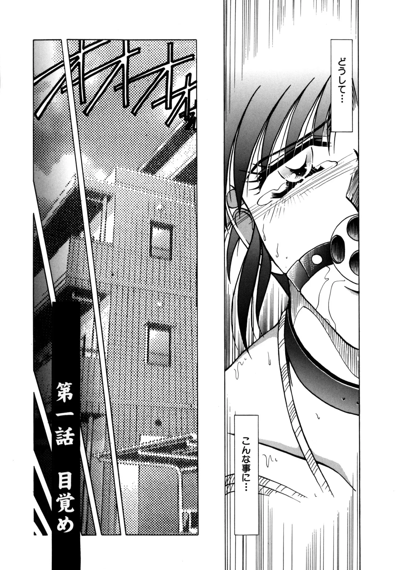 [SHIZUKA] 地獄調教 [DL版]_6
