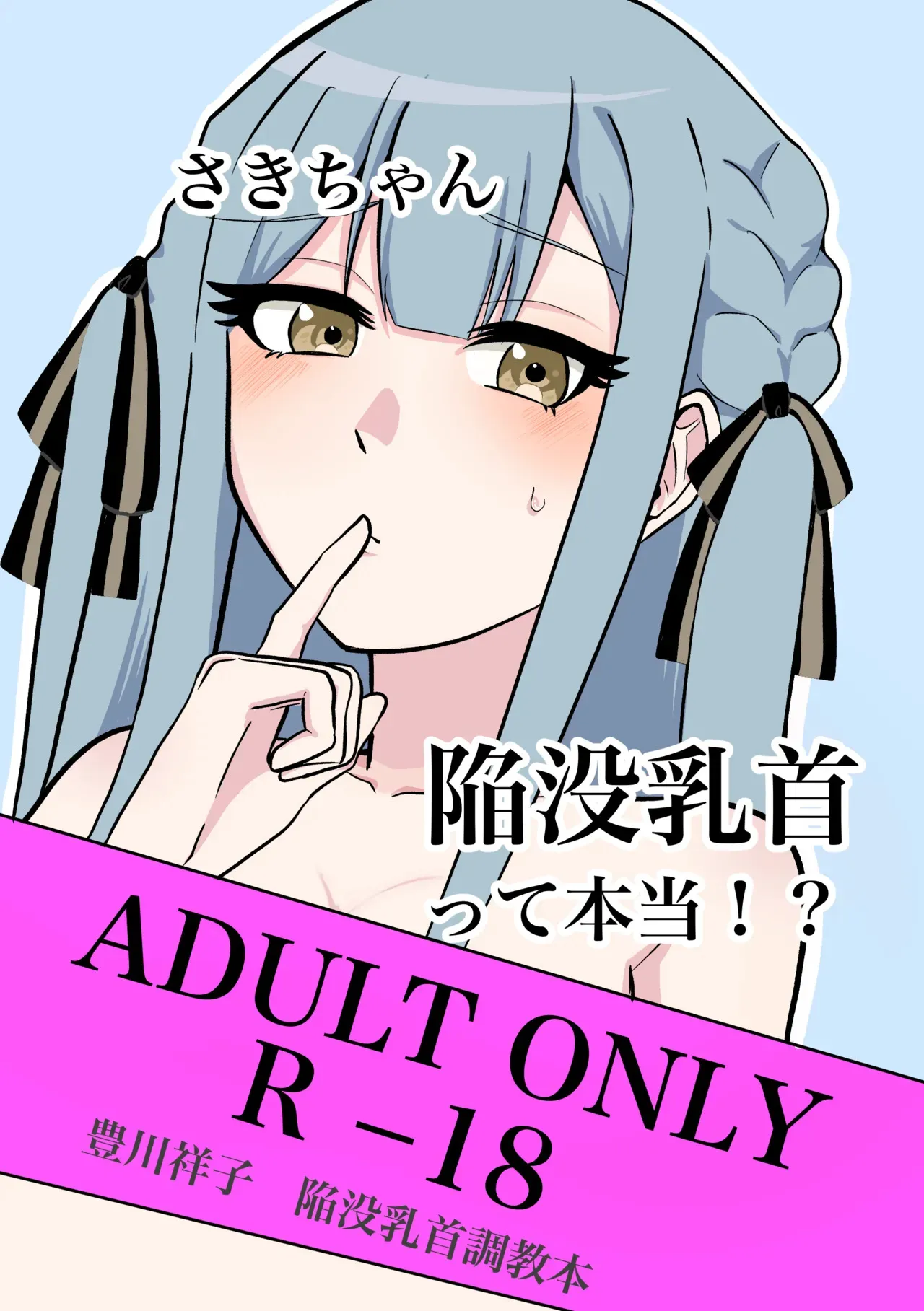 豊川祥子陥没乳首本