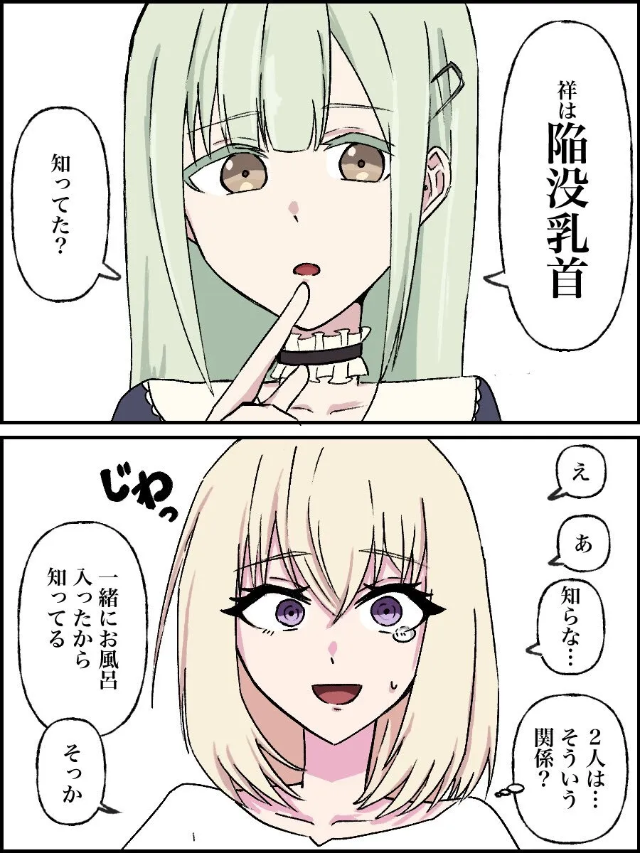 豊川祥子陥没乳首本_4