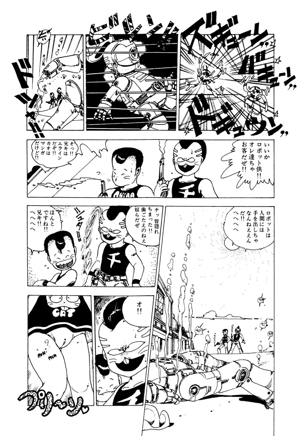 image_48