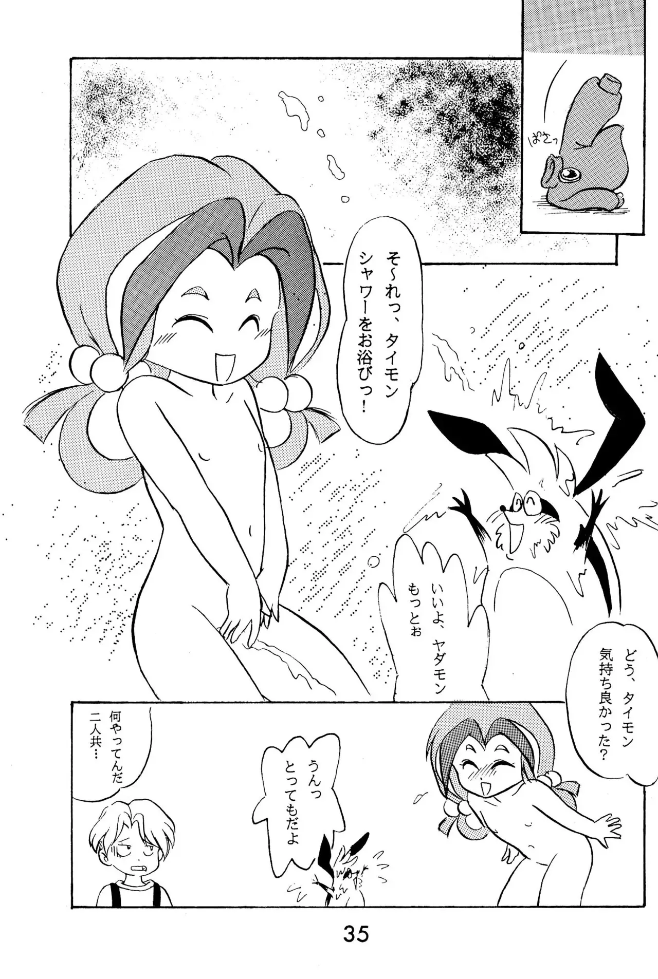 image_35