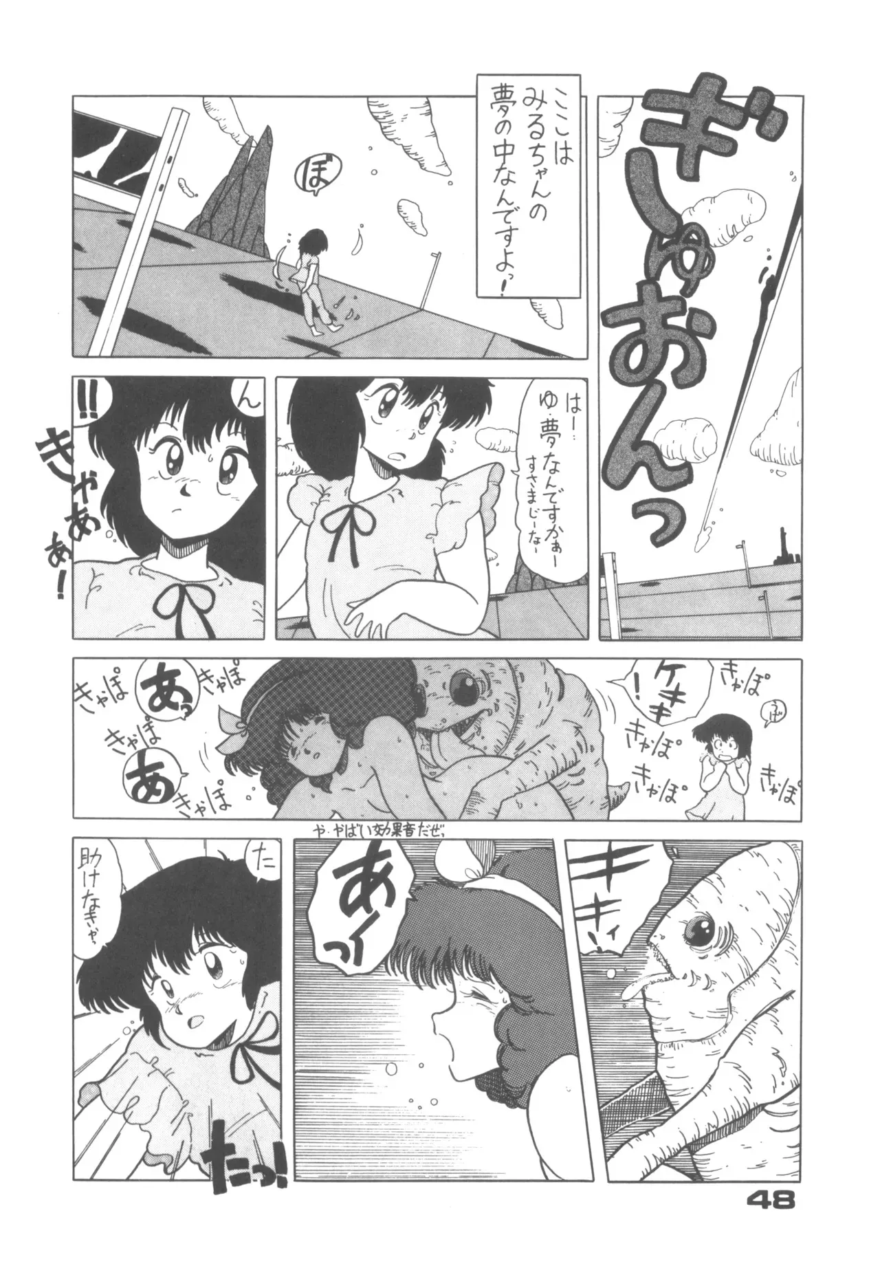 image_48