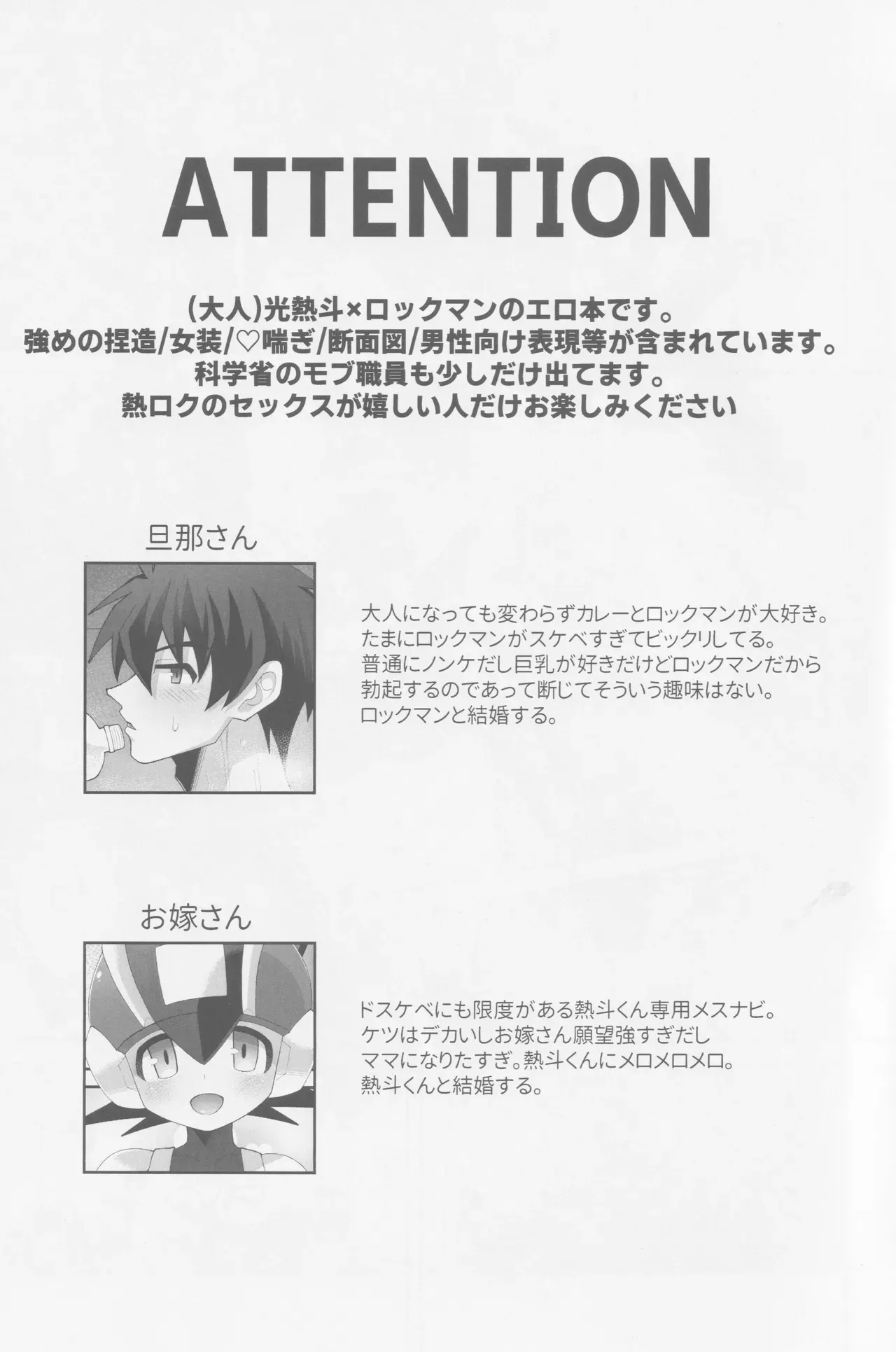 [Hokuto no Take (Kokeda)] Hikari no mariaaju (Rockman.EXE)_2
