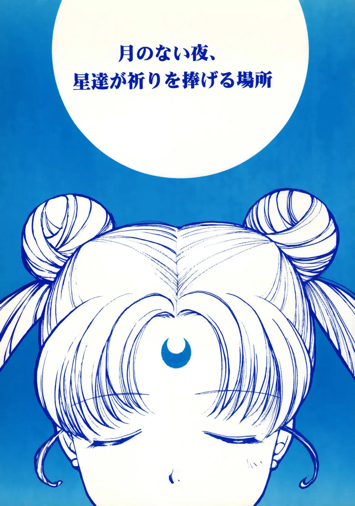 [Mad Tea Party (唐沢明子)] 月のない夜、星達が祈りを捧げる場所 (美少女戦士セーラームー)