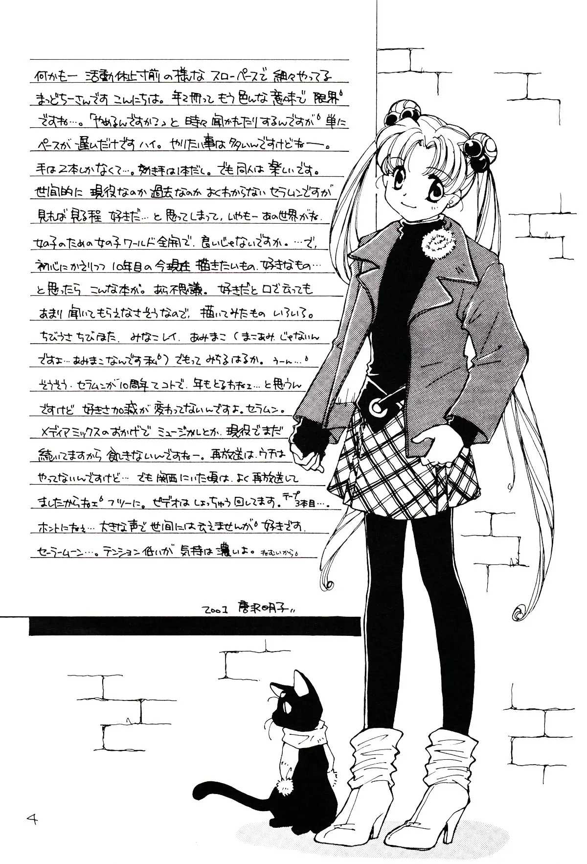 [Mad Tea Party (唐沢明子)] 月のない夜、星達が祈りを捧げる場所 (美少女戦士セーラームー)_4