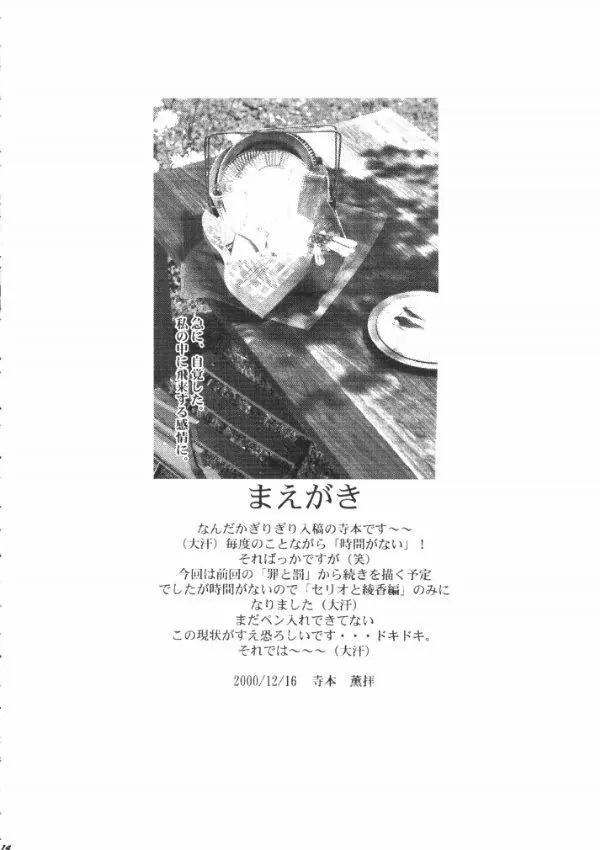 image_13