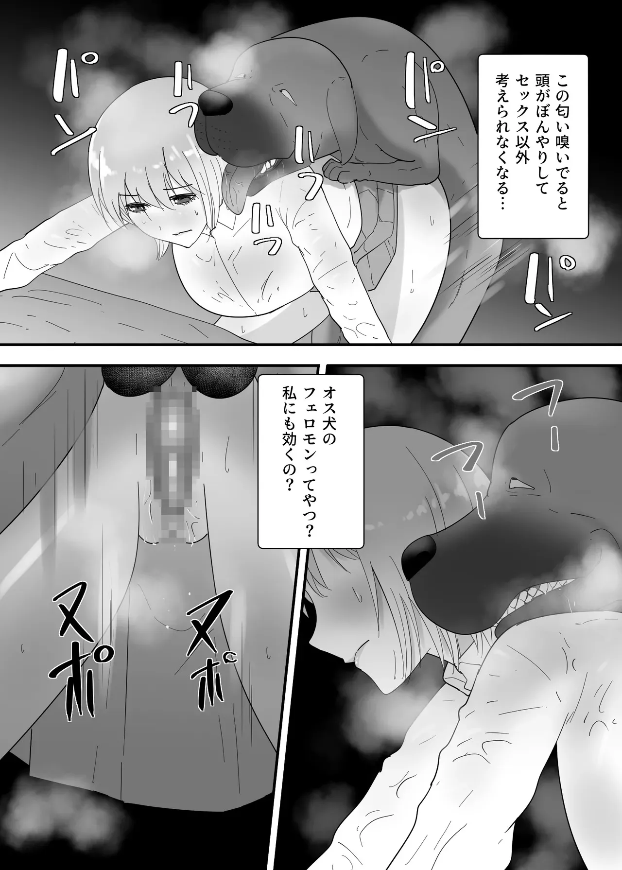 image_37