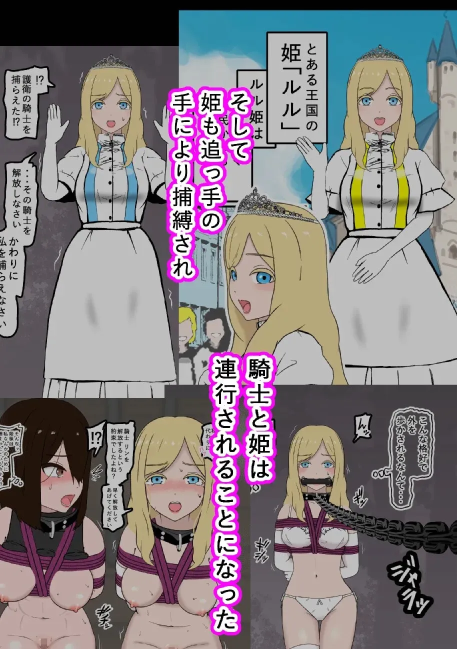 騎士・姫敗北拘束記録_2